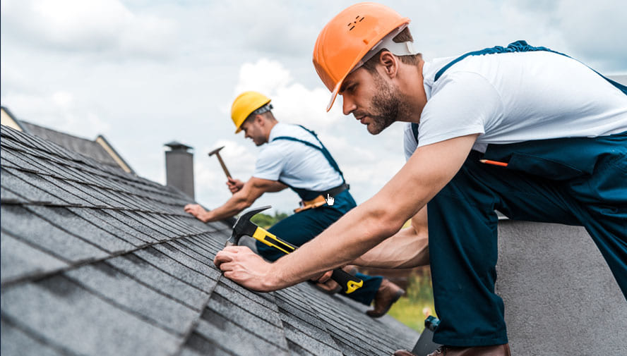 Expert Roofing