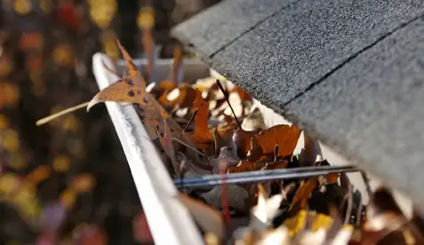 gutter cleaning in Biloxi